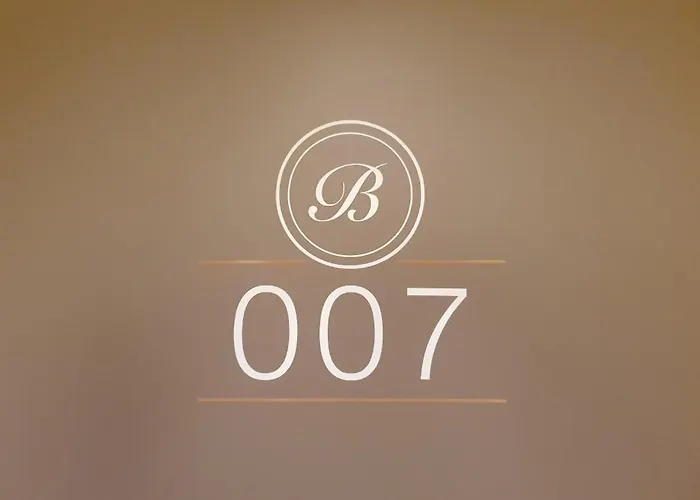 Boutique Hotel Bellevue Rheinfelden / Basel
